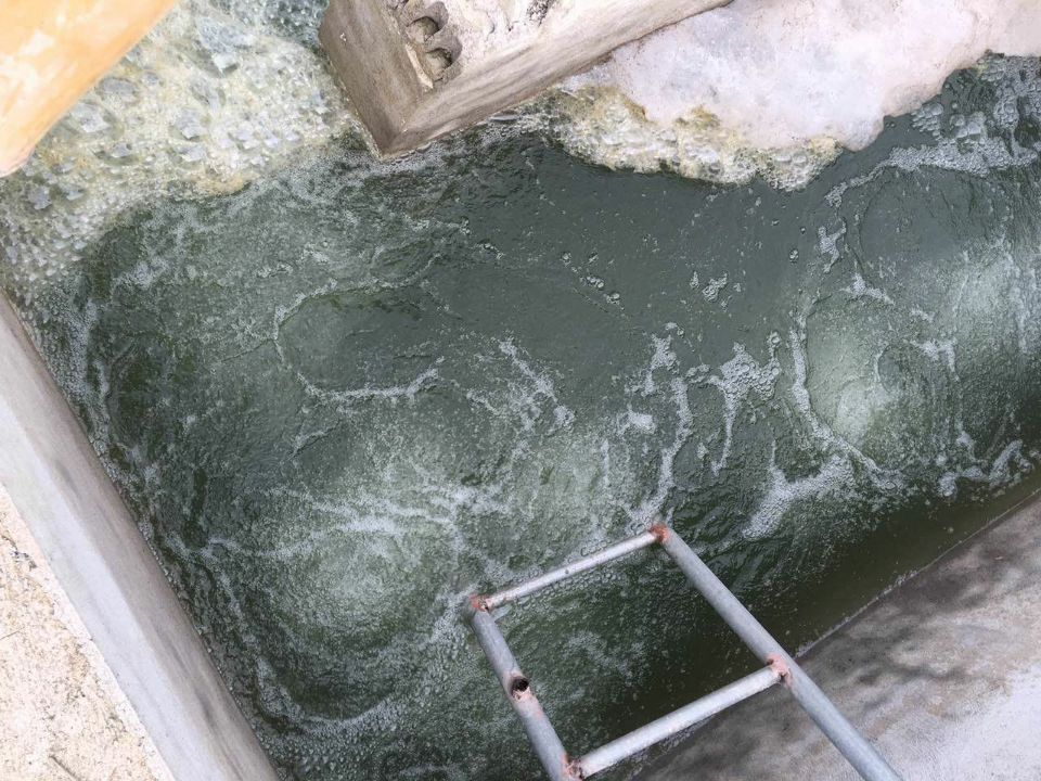 1kg水產養(yǎng)殖消毒2.jpg